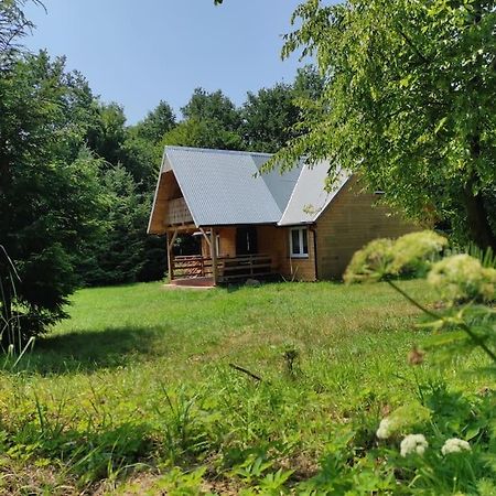 Domek W Lesie Czerce Экстерьер фото