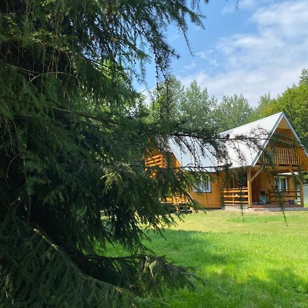Domek W Lesie Czerce Экстерьер фото