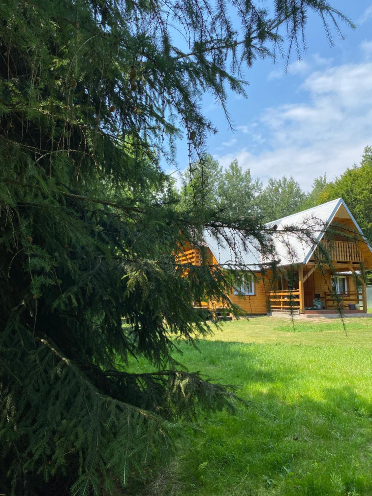 Domek W Lesie Czerce Экстерьер фото